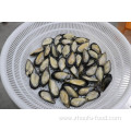 Frozen Shellfish Mussels High Quality